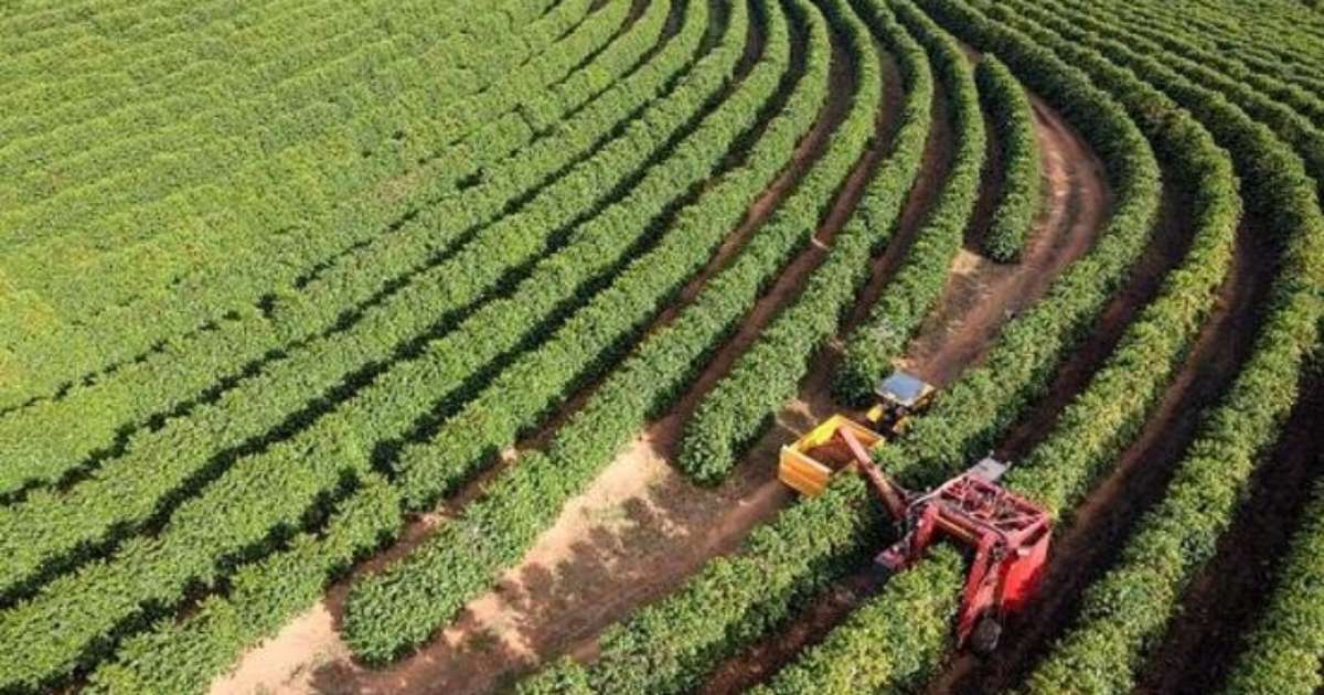 Decisão dos EUA ameaça preço do diesel no Brasil