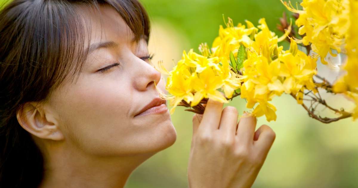 O poder do olfato: por que sentir o perfume das plantas é um remédio rápido contra o estresse