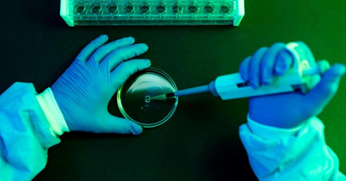 Um em cada oito casos de câncer provavelmente é causado por infecções por vírus ou bactérias, aponta novo estudo