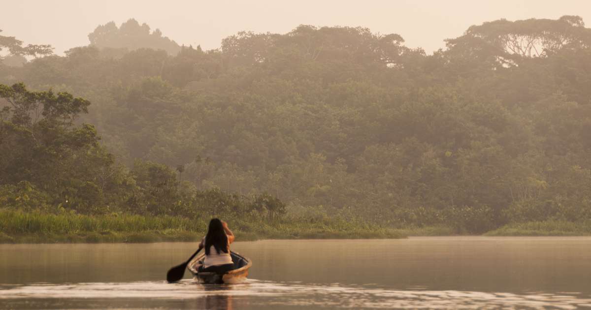 Diferentes Amazônias, diferentes mulheres: o que move o voto feminino no Norte