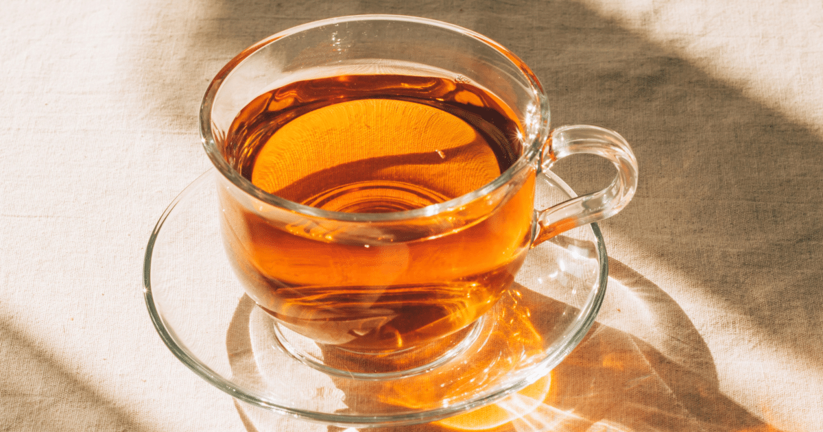 O que é rooibos e para que serve? Conheça a bebida que é fonte de antioxidantes