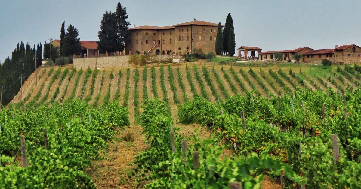 Maior roubo de vinho da Itália: ladrões levam 30 mil garrafas na Toscana