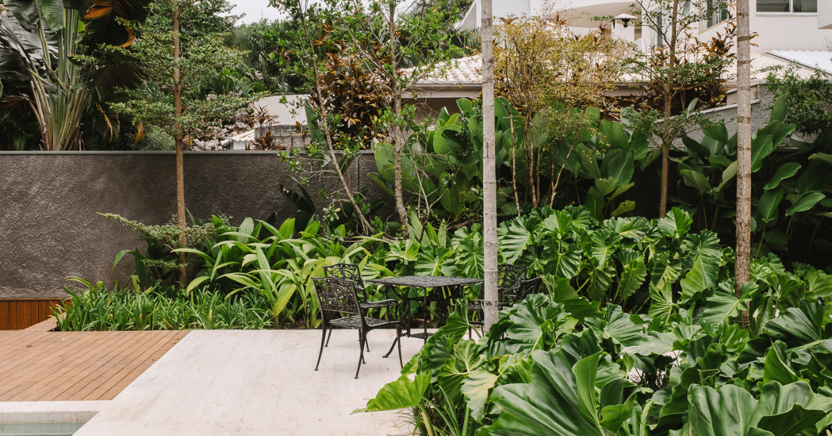 Quer um jardim mais exuberante? Saiba como utilizar filodendros no paisagismo