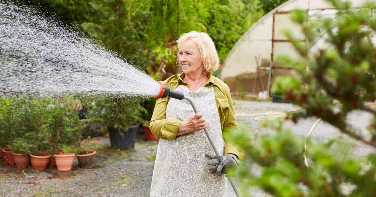 Estudo comprova que jardinagem faz com que sobreviventes do câncer aumentem sua percepção de saúde