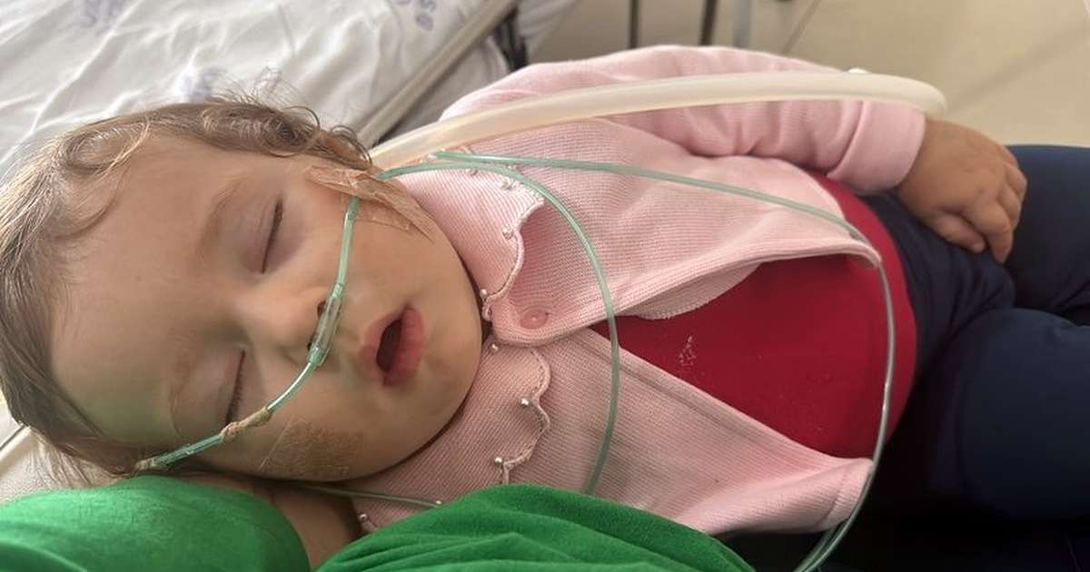 A luta de Isabelinha: a pequena guerreira da vaquinha Isabelinha que precisa da nossa ajuda