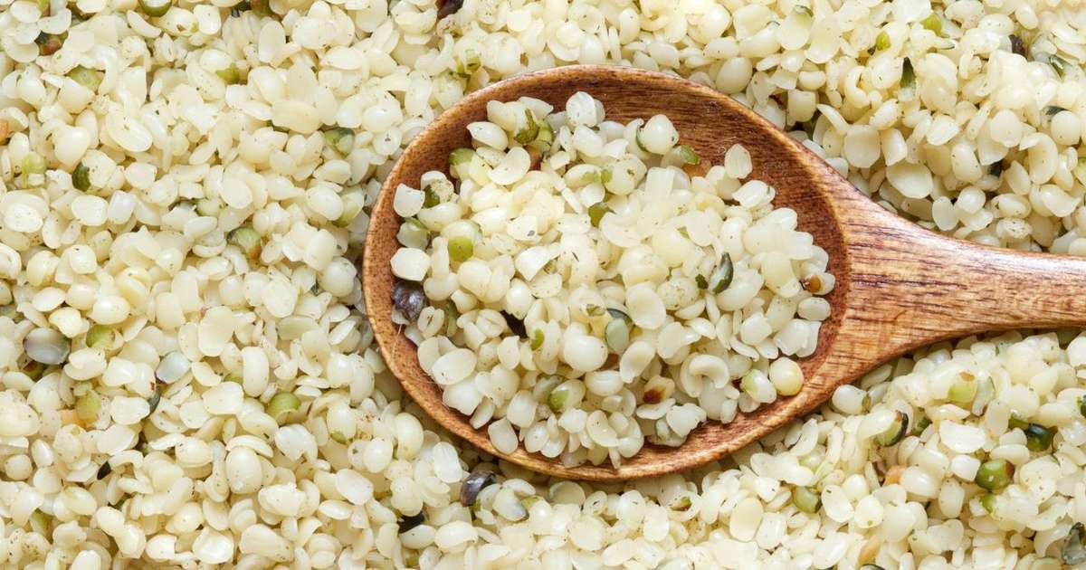 Proteína de Cannabis: conheça a semente nutritiva de cânhamo que está dando o que falar