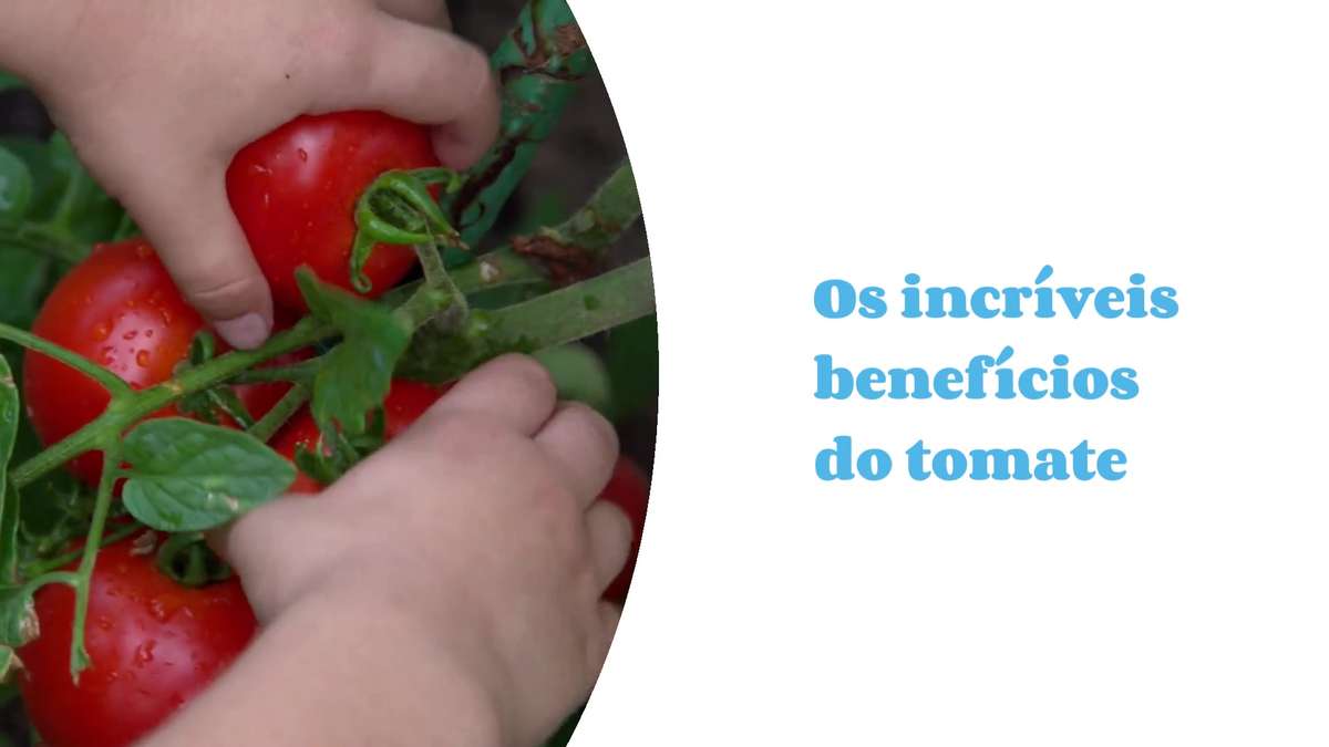 Tomate é Melhor Do Que Você Imagina: Veja Os Benefícios