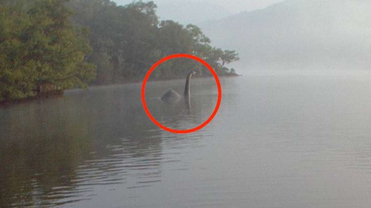 Google ajuda-o a encontrar o Monstro do Lago Ness - TVI Notícias