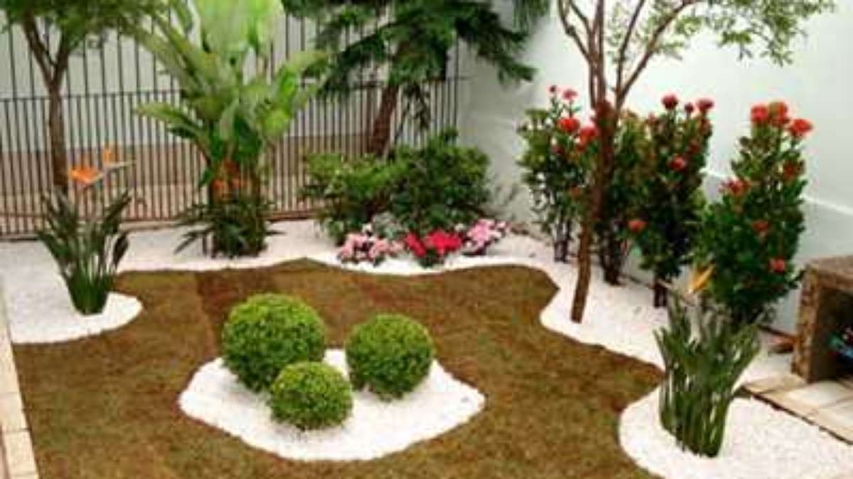 Jardim Pequeno: como escolher as plantas certas para o espaço