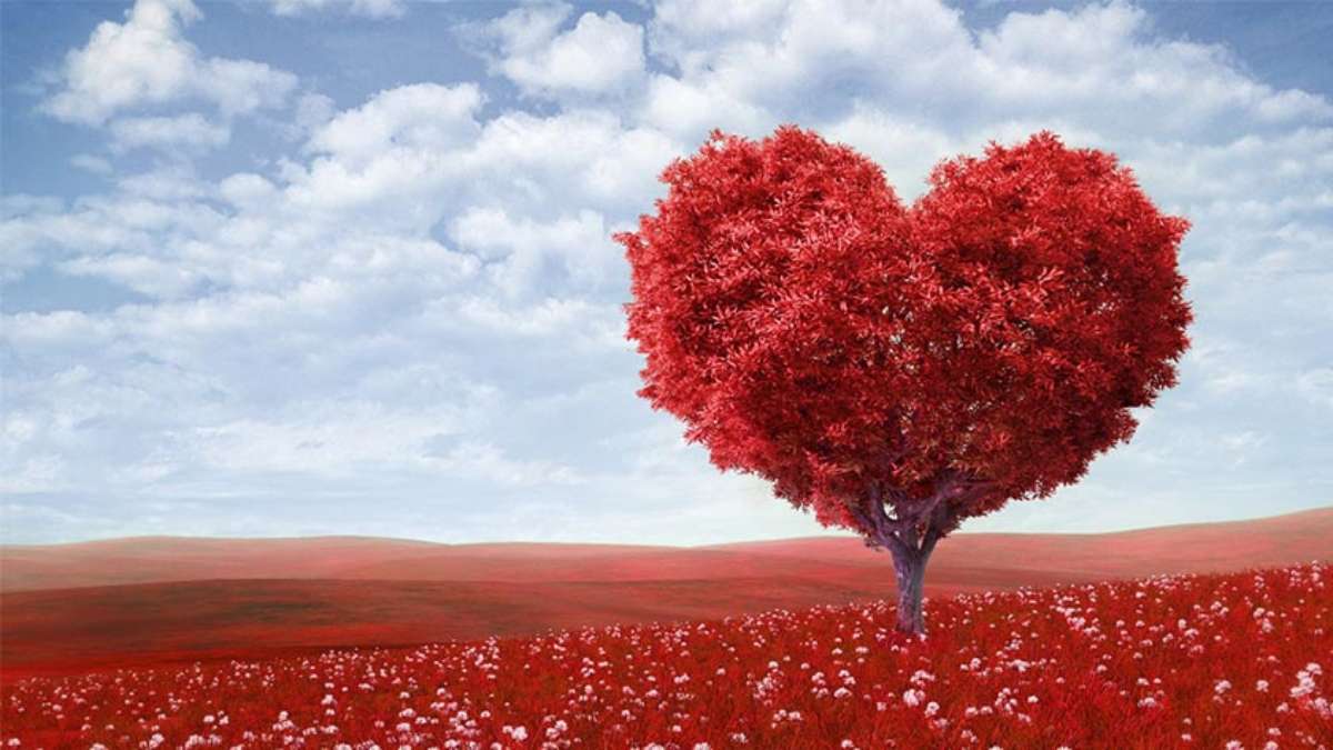 Conheça a história do Dia de São Valentim e confira algumas dicas