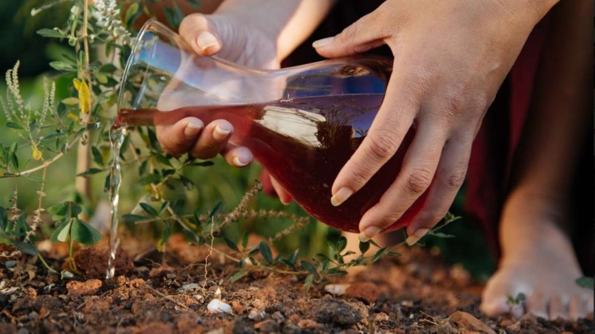 O que esperar do primeiro ano de menstruação? - BBC News Brasil