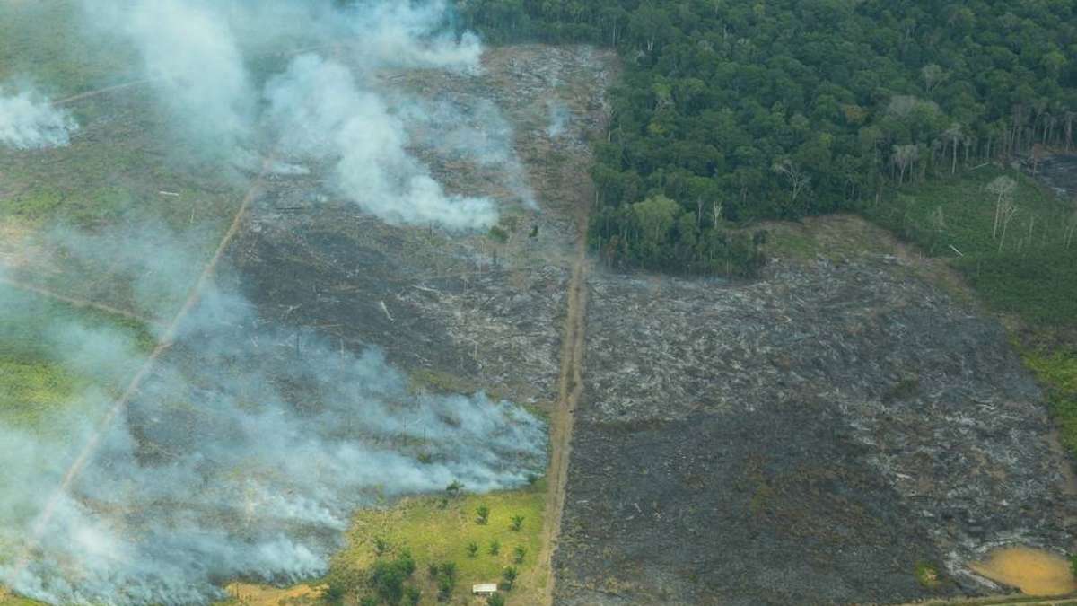 Governo reforça combate ao desmatamento ilegal no município de Colniza em  audiência pública :: Notícias do Agronegócio - AgroOlhar