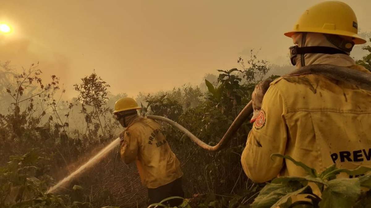 Escassez de água e fogo subterrâneo dificultam combate a incêndio no  Pantanal de MT perto da fronteira com a Bolívia, Mato Grosso