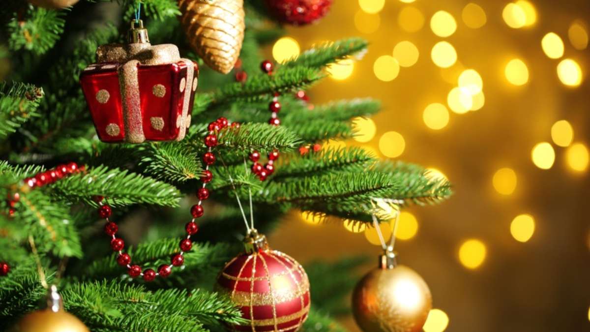 Árvore de Natal: saiba qual é a data certa para começar as decorações
