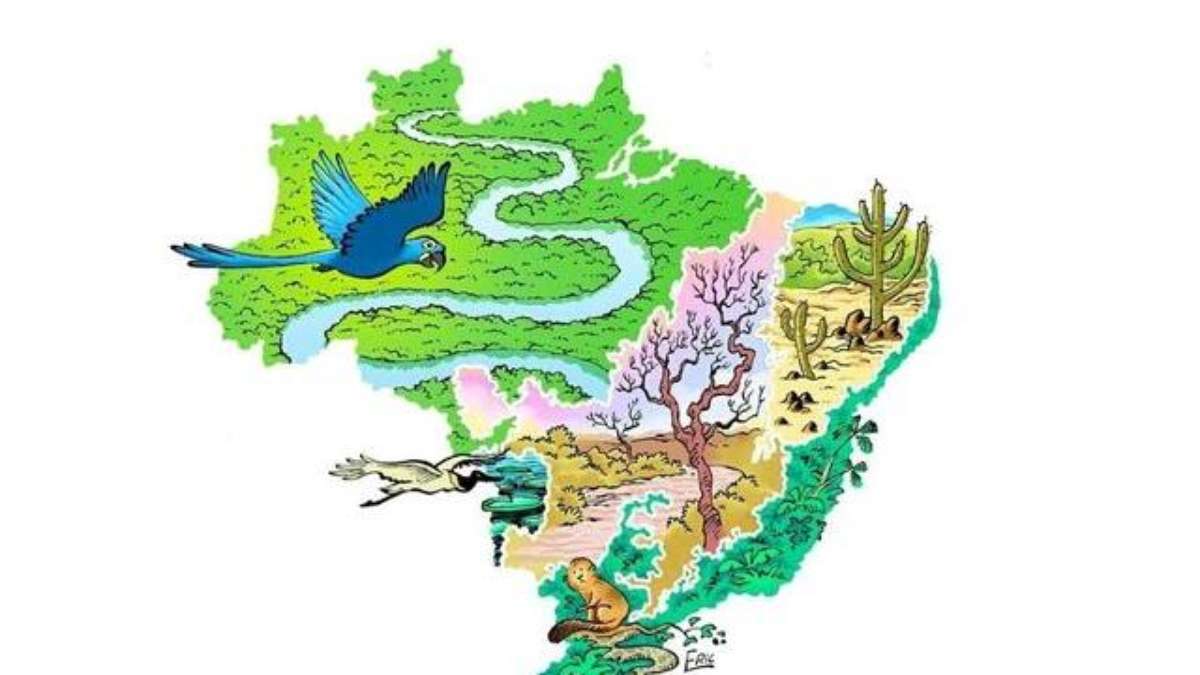 Teste os seus conhecimentos sobre arborização e meio ambiente! Responda ao  quiz, Mato Grosso