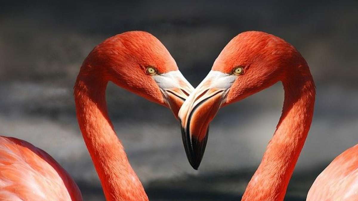 Arquetipos Do Amor
