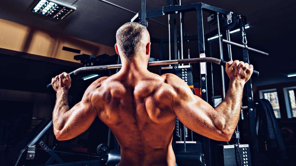 10 melhor ideia de Treino costas e biceps