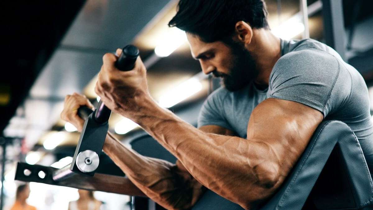 a especialidado treino Biceps e seus resultados