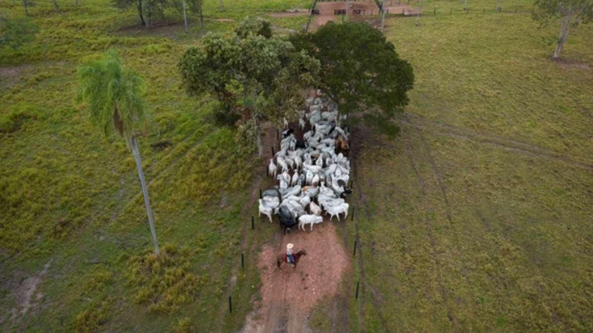 Pantanal - Comida de Comitiva, Gastronomia