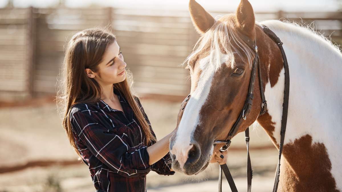 Planeta Animal - Cavalos 