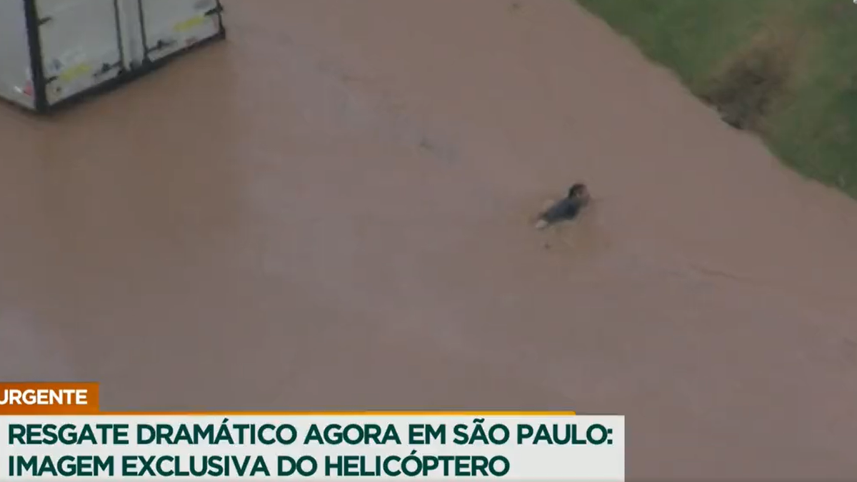 G1 - Adolescente holandês constrói 'rato helicóptero' após roedor morrer -  notícias em Planeta Bizarro