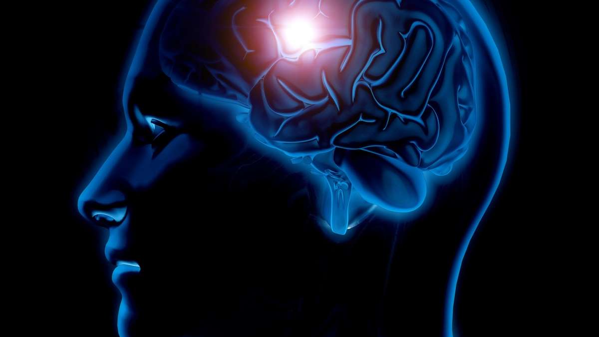 ¿Estamos evolucionando?  El tamaño del cerebro humano ha aumentado en los últimos 75 años