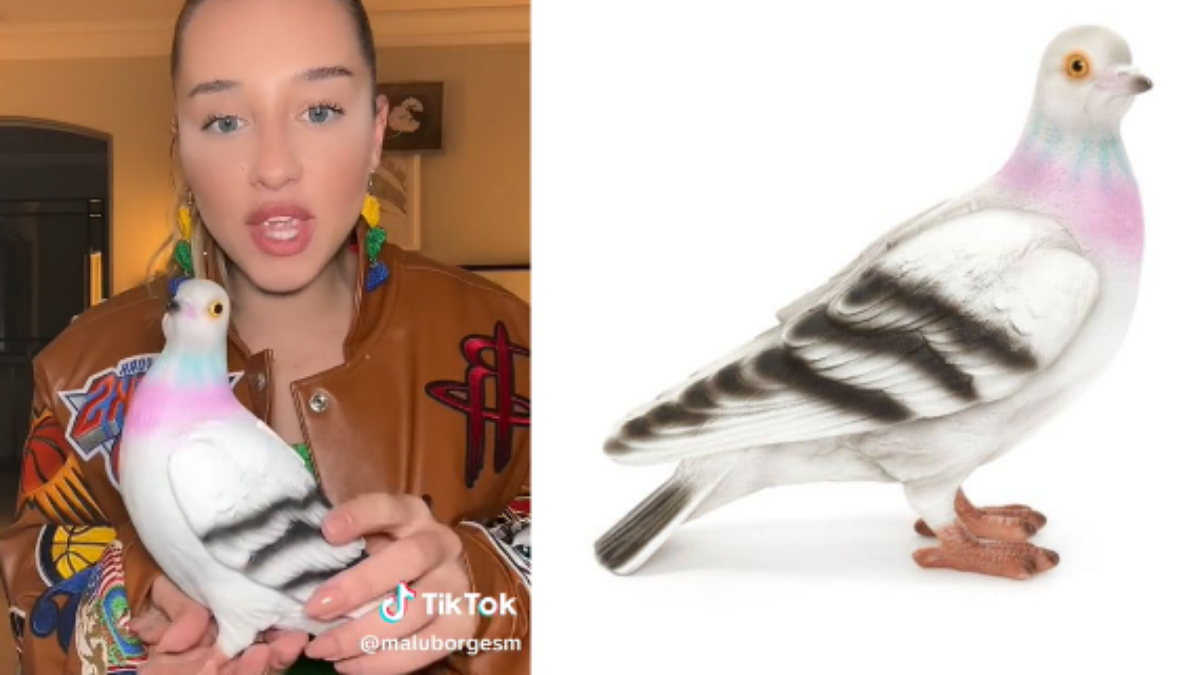 Influenciadora viraliza ao comprar bolsa de pombo de R$ 4 mil: 'Comprou o  Richarlison