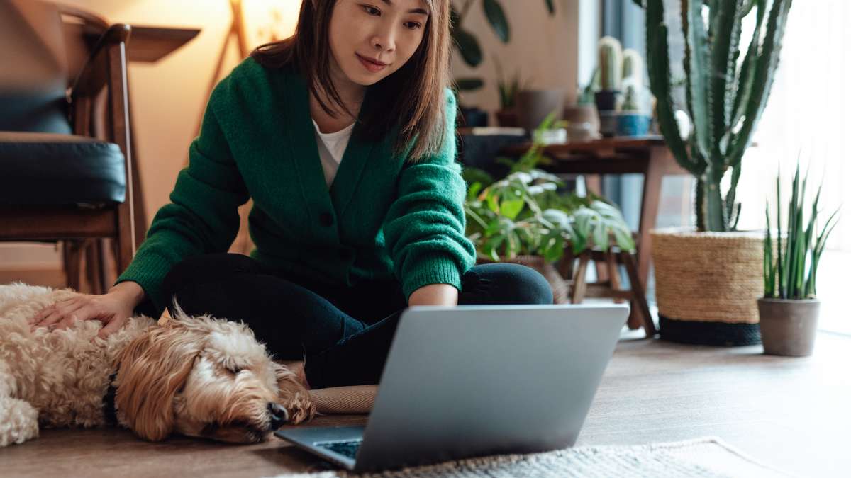 Meu pet morreu: Tenho direito a faltar no trabalho? Veja o que diz a lei