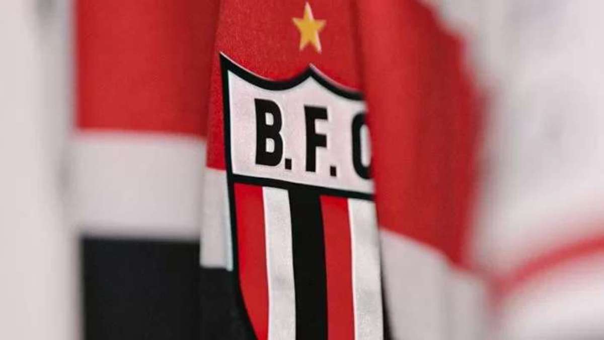 Botafogo-SP depende de dupla paulista no Brasileirão para garantir vaga na  Copa do Brasil de 2024