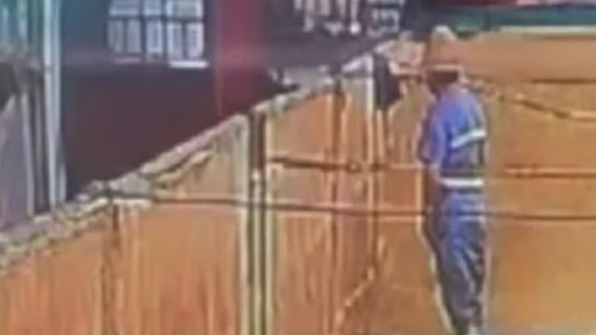 Chinese beer company investigates video of employee urinating on raw materials;  look