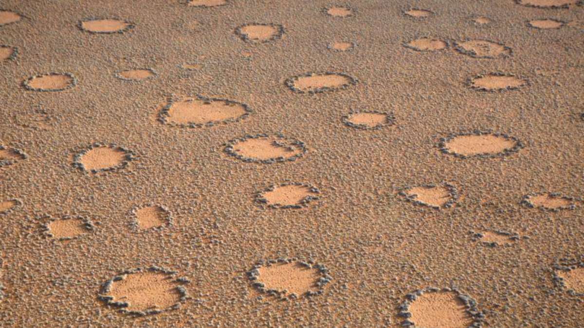 What are the “fairy circles”, the formations found in arid regions that still arouse the curiosity of scientists?