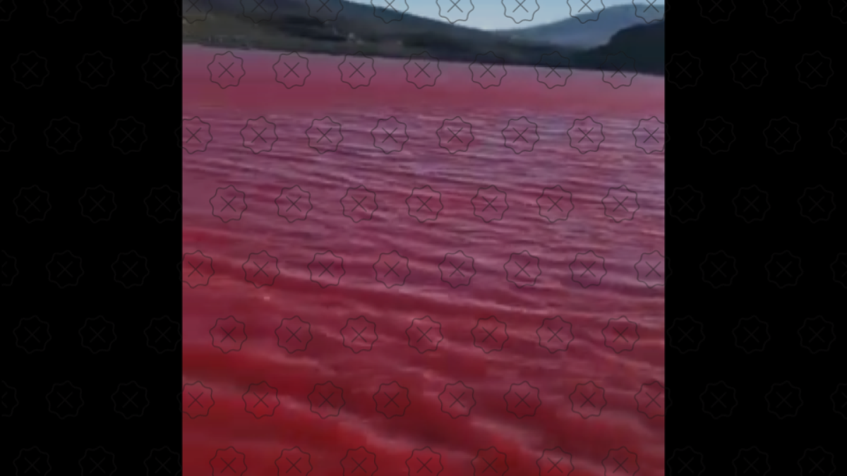 Es falso que el Nilo se haya vuelto rojo;  El video muestra una piscina en Chile.