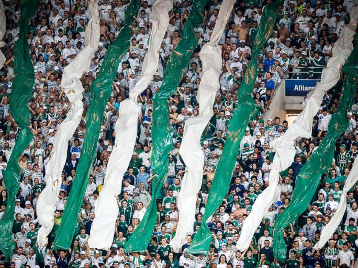 Torcedor do Palmeiras paga R$ 20 mil para assistir à final do