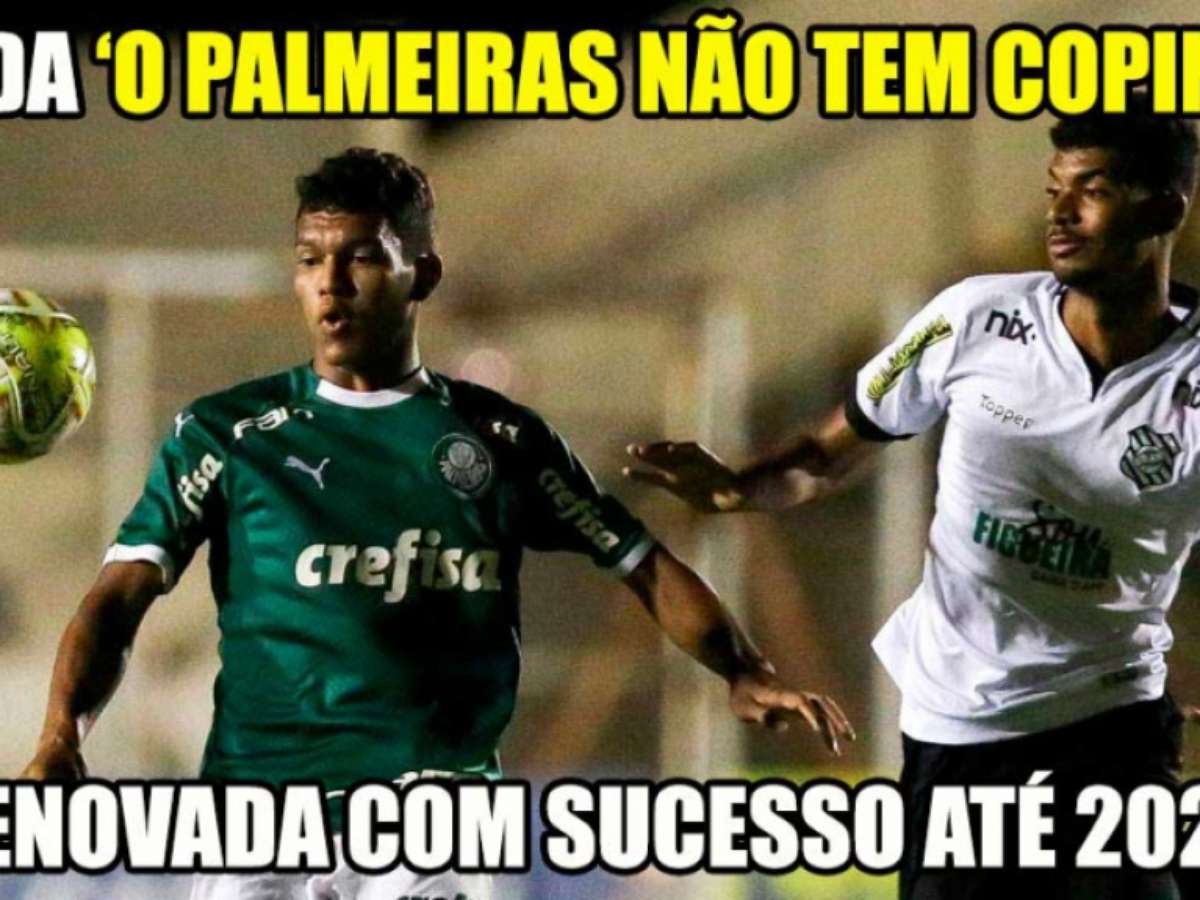 Não tem Copinha e nem Mundial', veja memes da queda do Palmeiras - Fotos -  R7 Humor Esportivo