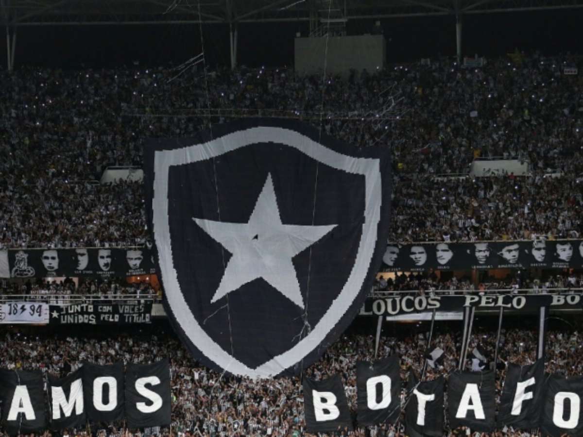 John Textor, do Botafogo, após ver jogo na torcida: É o único jeito de  assistir a futebol, botafogo