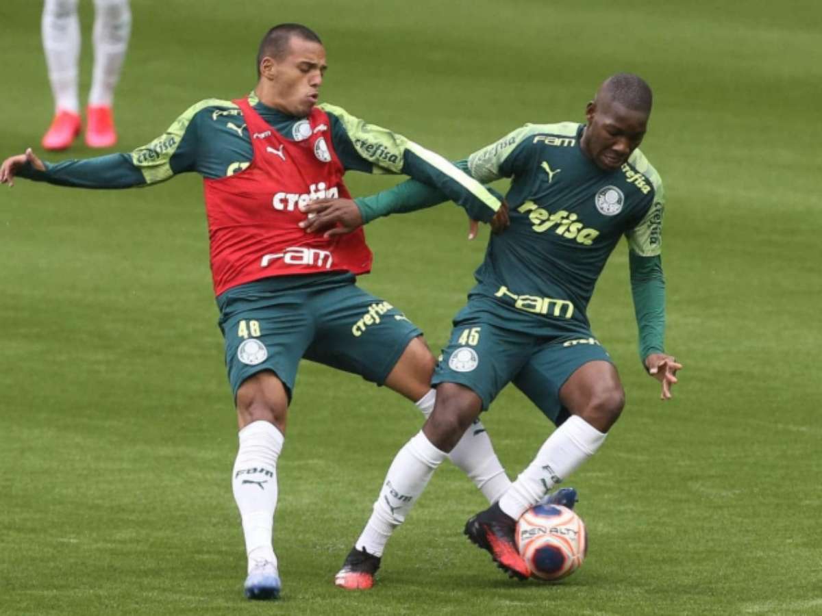 Palmeiras deve aproveitar quatro destaques da base no time profissional -  Lance!