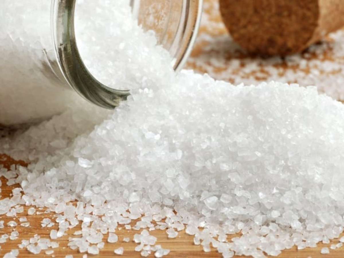 Conheça os segredos do sal grosso