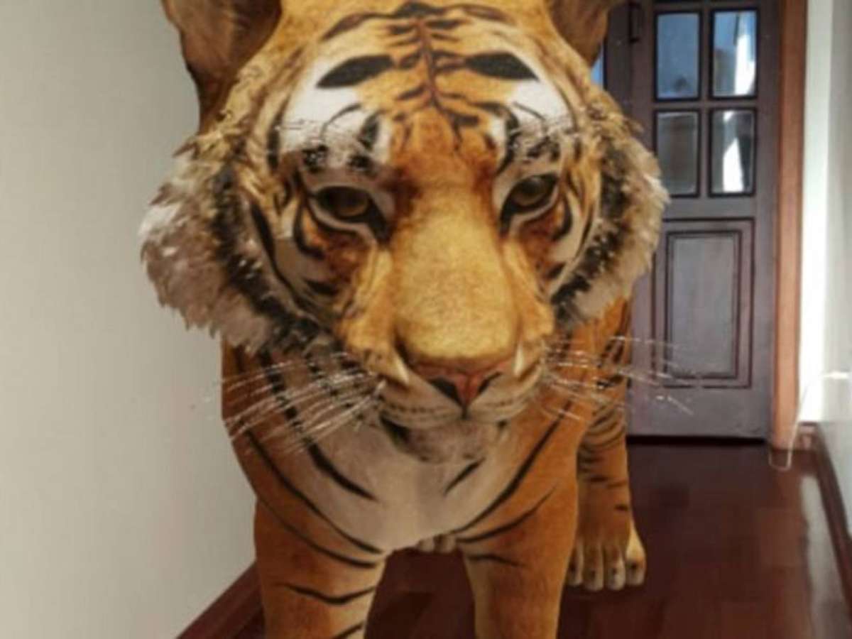 Como encontrar animais em 3D pelo Google e tirar fotos divertidas