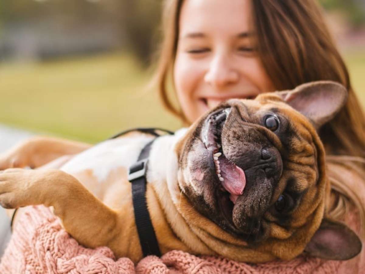 Horóscopo para cachorro: o que o signo do seu cão diz sobre ele – VitalPet  Brasil