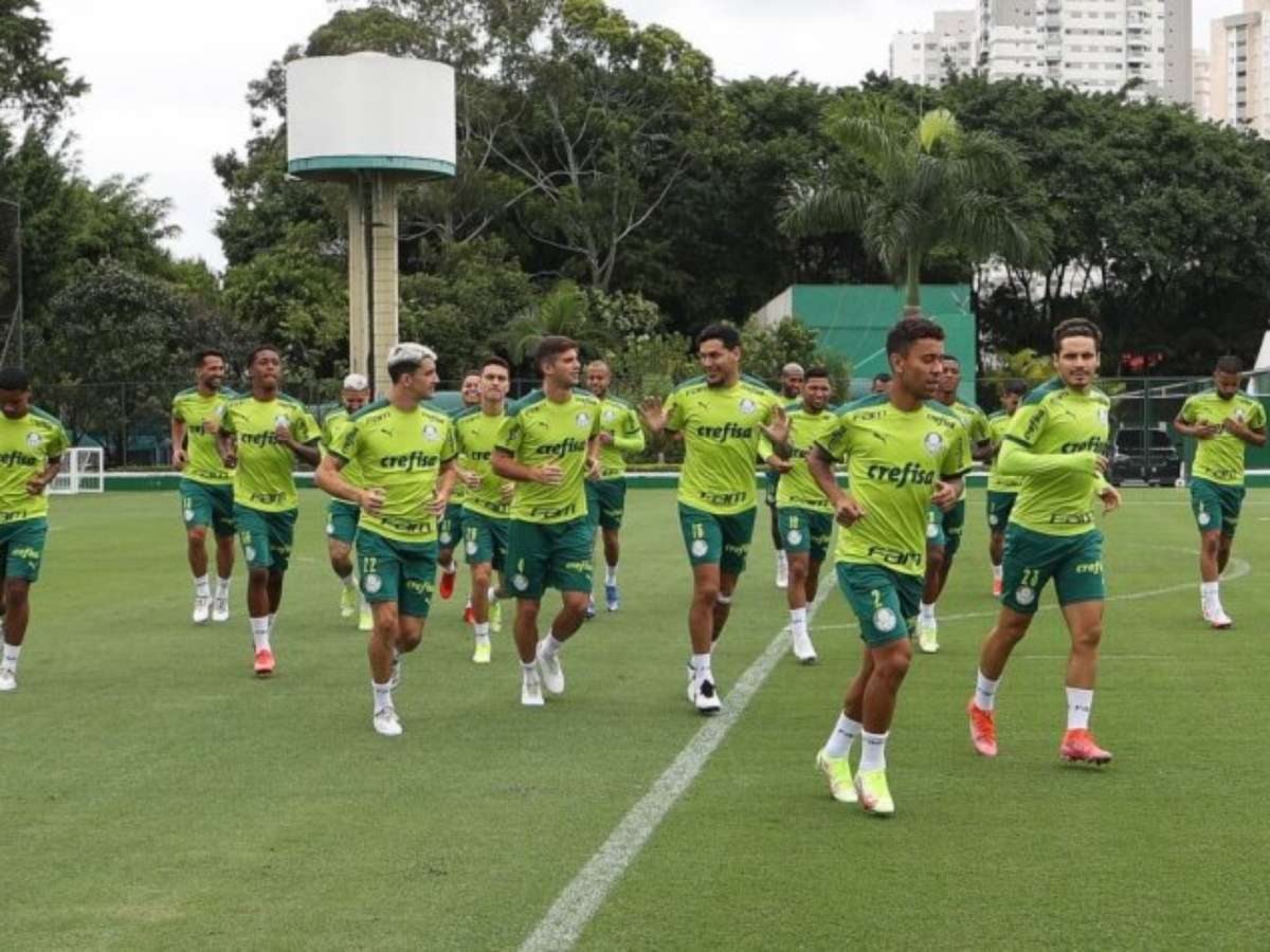 Operadora oficial de turismo do Verdão oferece pacotes para o Mundial de  Clubes – Palmeiras