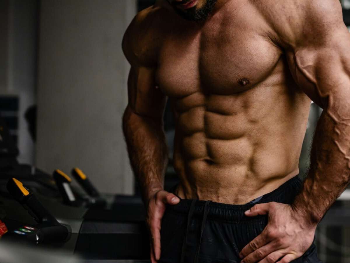 CUTTING E BULKING: ENTENDA COMO GANHAR MASSA MUSCULAR E PERDER