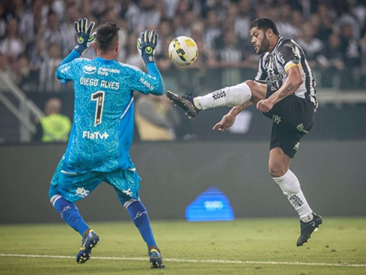 OPINIÃO: É O MELHOR GOLEIRO DO BRASIL, DIEGO ALVES!!!