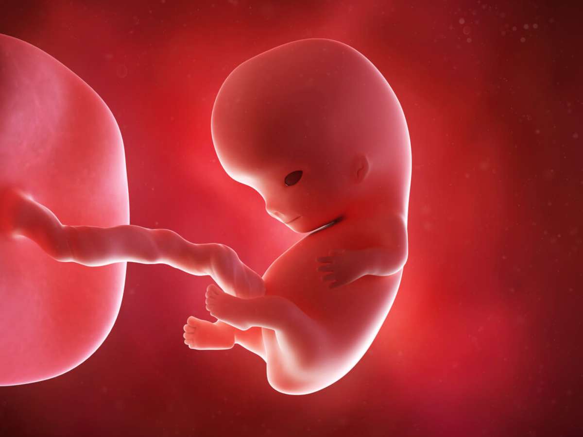 Você faz alguma ideia do que seja sexagem fetal?