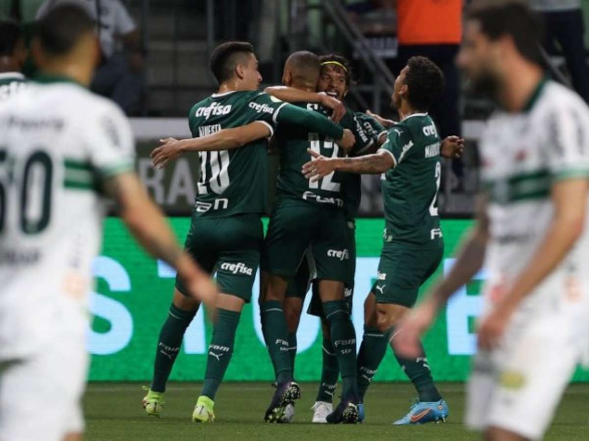 SE Palmeiras chega ao seu 7º título de Brasileirão e 11º titulo de  Campeonato Brasileiro. Antes que chamem de fax, eu cito o exemplo do  Liverpool que tem 19 Campeonatos Ingleses apesar