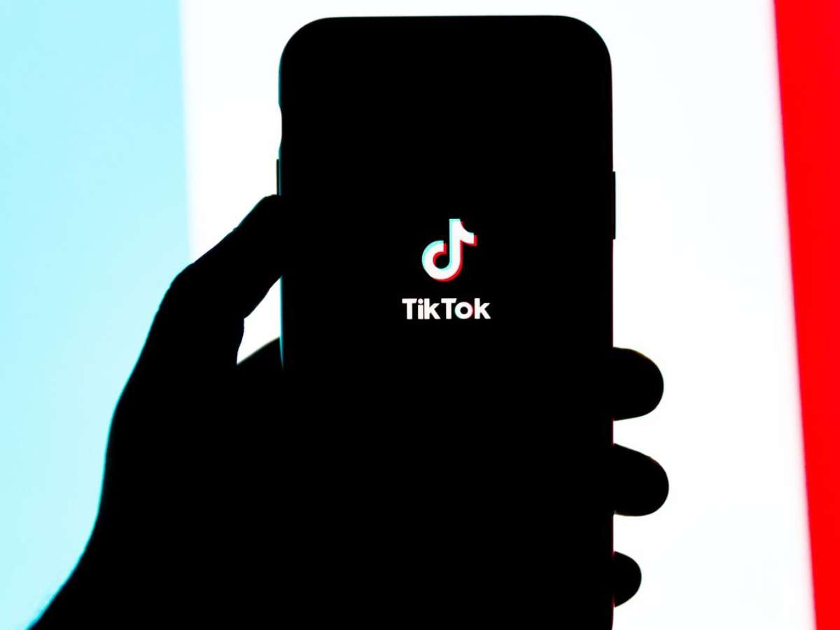 Dono de pet shop bomba no TikTok com vídeos engraçados sobre a clientela -  Canaltech