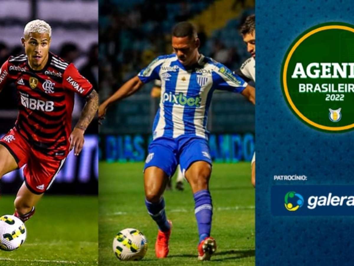 Flamengo x Avaí: onde assistir, escalações e tudo sobre jogo da Copinha -  Lance!