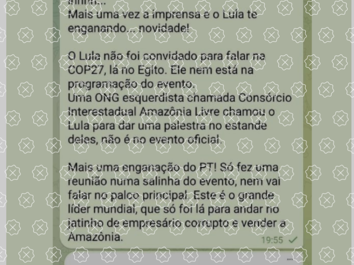 É falso que Lula não foi convidado para a COP27 e falou para 'ONG