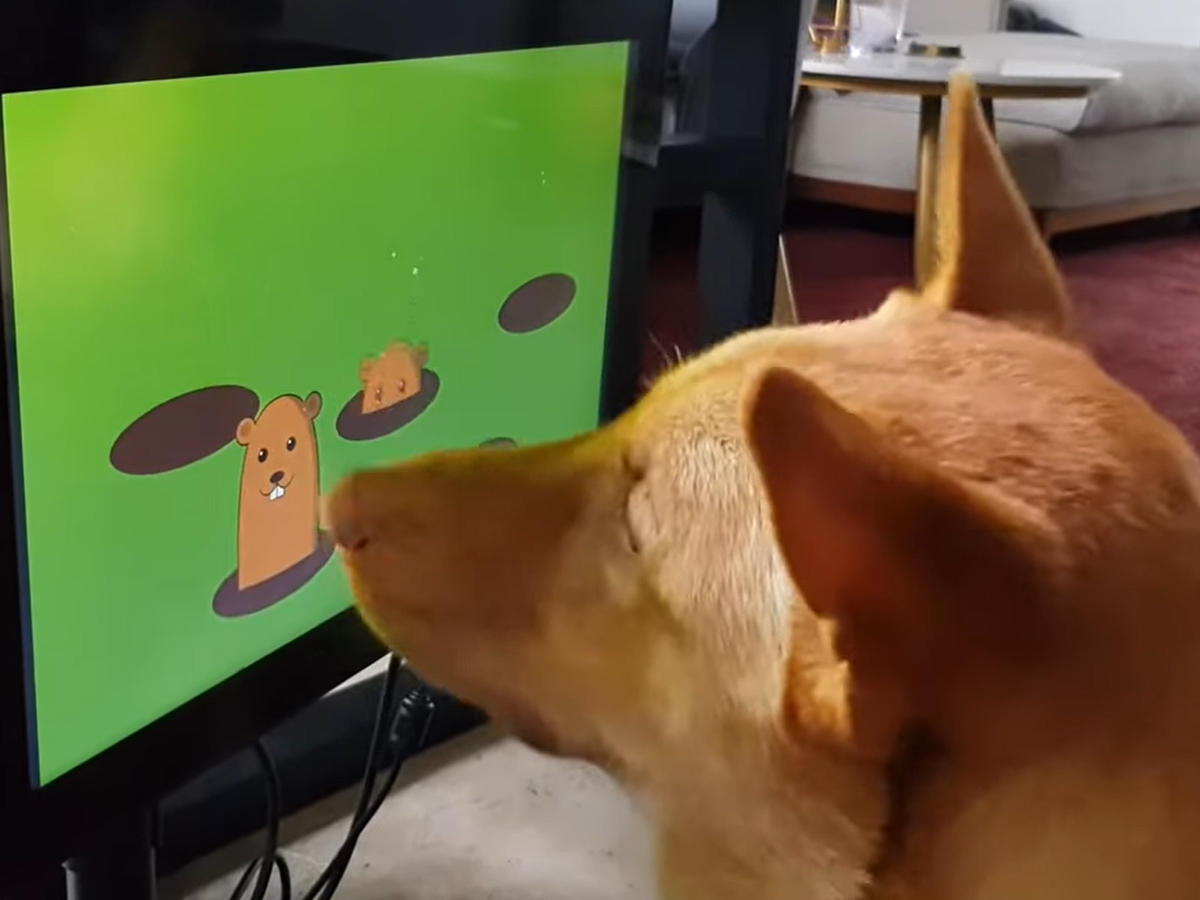 Os melhores pets dos games - Canaltech