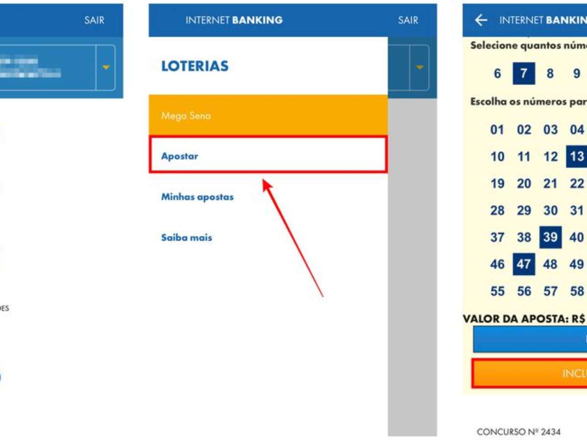 Mega da Virada e outras loterias: saiba como apostar pela internet, Loterias