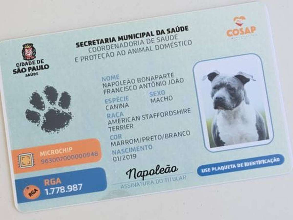 Veja os nomes mais comuns para cães e gatos na cidade de São Paulo